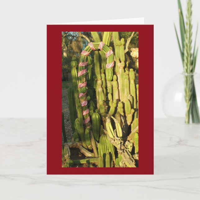 Cartão De Festividades Candy cane cactus (Frente)