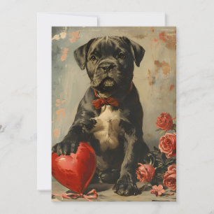 Cartão De Festividades Cane Corso cachorro vintage Dia dos Namorados