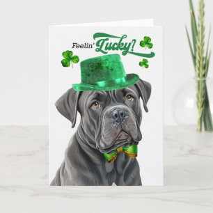 Cartão De Festividades Cane Corso Dog Lucky Dia de São Patrício