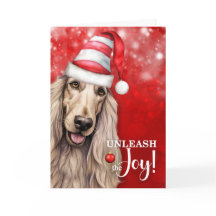 Cão Afghan Hound Liberta a Alegria Natal