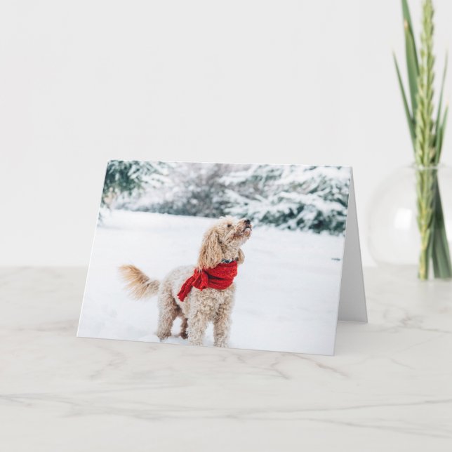 Cartão De Festividades Cão bonito com cachecol vermelho (Frente)