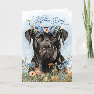 Cartão De Festividades Cão Cane Corso Flores Silvestres Dia das Mães