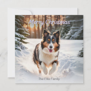 Cartão De Festividades Cão Collie Galês Neve Aquarela Feliz Natal