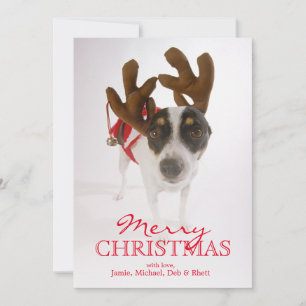 Cartão De Festividades Cão com Antlers e Bell
