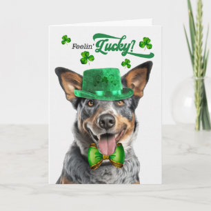 Cartão De Festividades Cão de Gado Australiano Feliz Dia de São Patrício