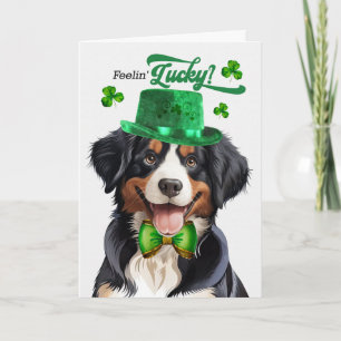 Cartão De Festividades Cão de Montanha Entlebucher Feliz Dia de São Patrí