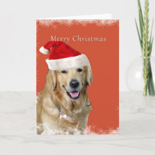 Cartão De Festividades Cão de Natal