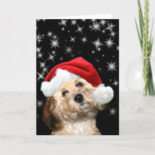Cartão De Festividades Cão de Papais noeis de Starry