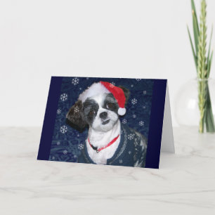Cartão De Festividades Cão de Shih Tzu do Natal