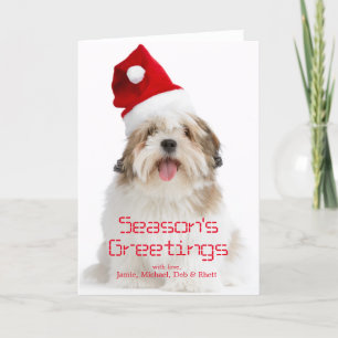 Cartão De Festividades Cão de sorriso de Lhasa Apso que veste o chapéu 
