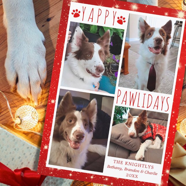 Cartão De Festividades Cão Engraçado 4 Colagem Fotográfica YAPPY PAWLIDAY (Criador carregado)