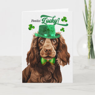 Cartão De Festividades Cão Field Spaniel se Sentindo Sortudo no Dia de Sã