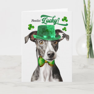 Cartão De Festividades Cão Greyhound se Sentindo Sortudo no Dia de São Pa