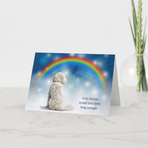 Cartão De Festividades Cão Labradoodle Branco Luzes Noturnas Simpatia