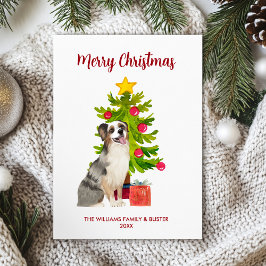 Cartão De Festividades Cão Pastor Australiano Família Natal