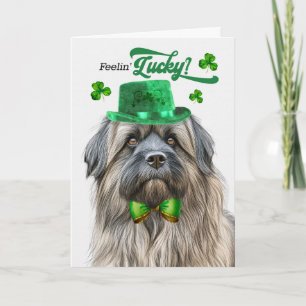 Cartão De Festividades Cão Pastor dos Pirenéus Feliz Dia de São Patrício