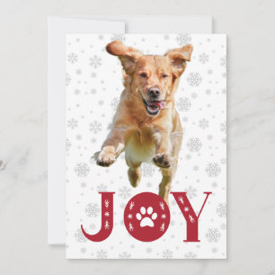 Cartão De Festividades Cão Retriever Dourado Alegria Impressão Pata Floco