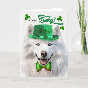Cartão De Festividades Cão Samoyed se Sentindo Sortudo no Dia de São Patr