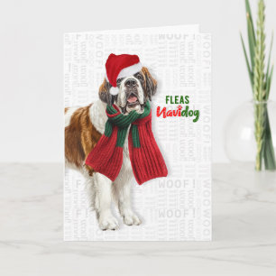 Cartão De Festividades Cão São Bernardo Piadas Pulgas Navidog Natal