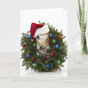Cartão De Festividades Cão Shiba Inu vestindo chapéu de Papai Noel sent