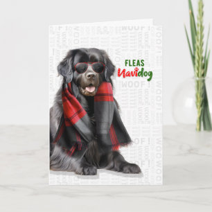 Cartão De Festividades Cão Terra Nova Piadas de Pulgas Navidog Natal