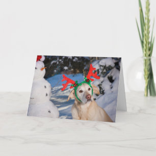 Cartão De Festividades Cão Vestindo Reindeer Antlers