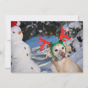 Cartão De Festividades Cão Vestindo Reindeer Antlers