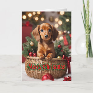 Cartão De Festividades Cãozinho de Natal num cesto de férias Doxie