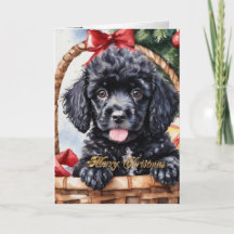 Cãozinho de Poodle de Natal numa cesta