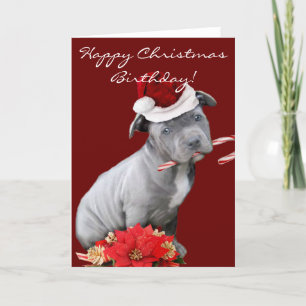 Cartão De Festividades Cãozinho Pitbull Natal