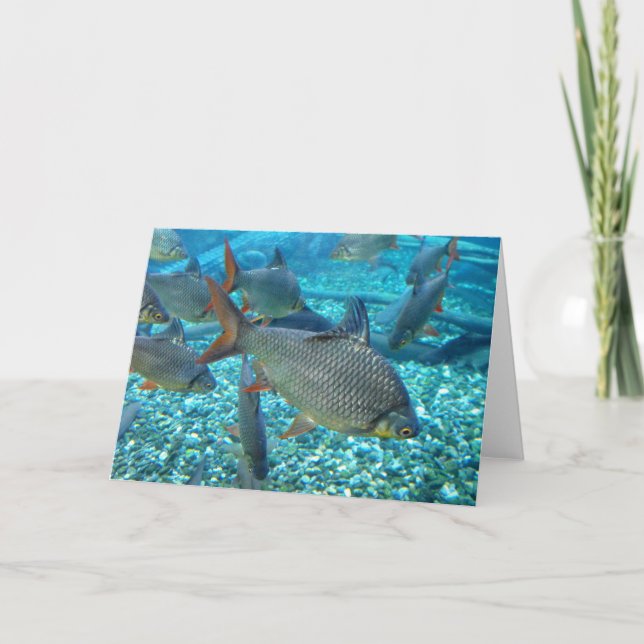 Cartão De Festividades Captura de peixe (Frente)