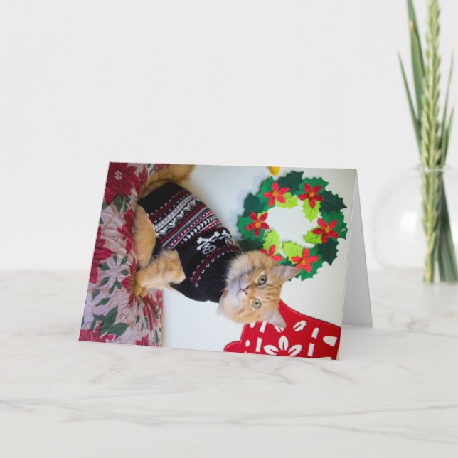 Cartão De Festividades Cara do Maine I (Frente)