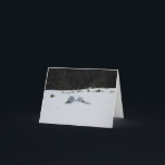 Cartão De Festividades Card -adirondack chairs in snow drift<br><div class="desc">Snow drift has nearly covered these adirondack chairs set to view the vast Yosemite back country.</div>