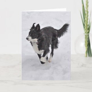 Cartão De Festividades Card - Border Collie Running through the Snow