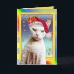 Cartão De Festividades Card | Rex Cat Santa Meow Christmas<br><div class="desc">Cute Pets Greeting Cards by Sequin Dreams. 
 Photographs taken of my furry friends.
 Card Description: Fun Rex Cat Santa Christmas Card. 
 Card text: inside card says "Meow Christmas" 
 Model: Devon Rex Cat named Casper. 
 Copyright © 2012 Ange Irwin

 Links to Sequin Dreams other stores on Zazzle.com.</div>