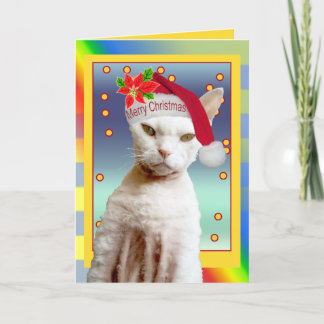 Cartão De Festividades Card | Rex Cat Santa Meow Christmas