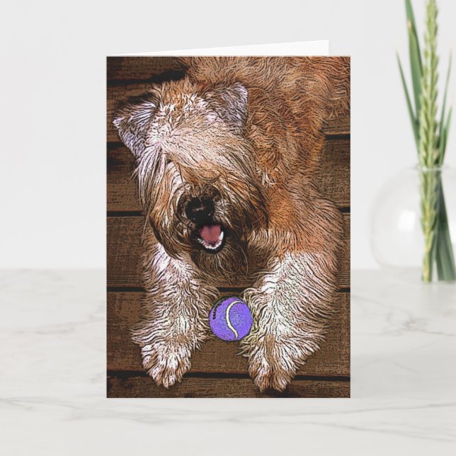 Cartão De Festividades Card: "Wanna Play?" (Frente)