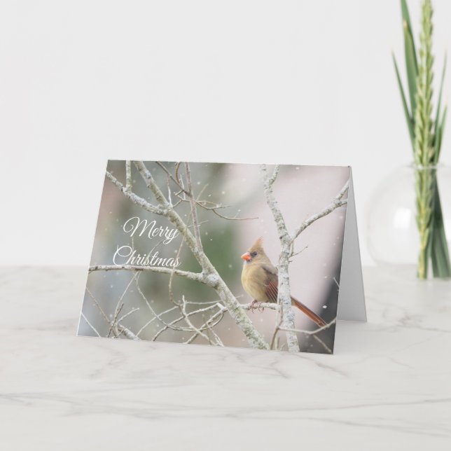 Cartão De Festividades Cardeal feminino em ramos de inverno Personalizáve (Frente)