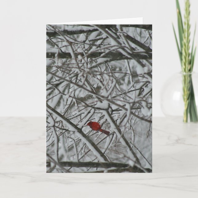 Cartão De Festividades Cardeal nas árvores de neve (Frente)