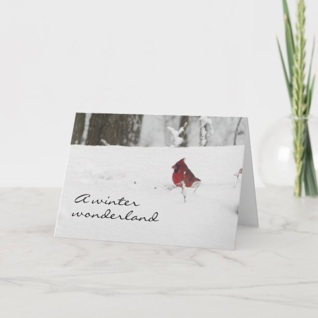 Cartão De Festividades Cardeal no Natal da Neve de inverno (Frente)