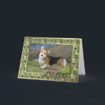 Cartão De Festividades Cardigan Welsh Corgi Dog Blank Christmas Card<br><div class="desc">Cardigan Welsh Corgi Dog Blank Christmas Card</div>