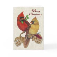 Cardinais de inverno