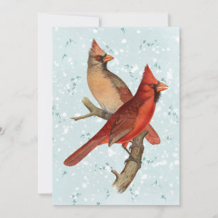 Cartão De Festividades Cardinal Bird Branch Snow Winter Teal
