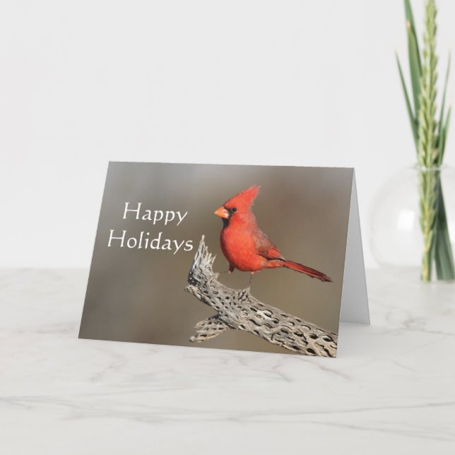 Cartão De Festividades Cardinal em uma costela de cholla, Boas Festas (Frente)