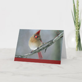 Cartão De Festividades Cardinal Holiday Card