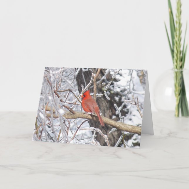 Cartão De Festividades Cardinal 'n Ice (Frente)