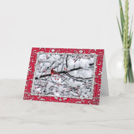 Cartão De Festividades Cardinal Snow Tree Photo Horizontal Christmas