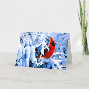 Cartão De Festividades Cardinal Vermelho na Neve de Inverno