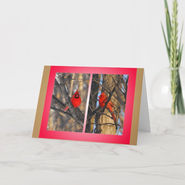 Cartão De Festividades Cardinals in a "Crisp" Winter Morning (Frente)