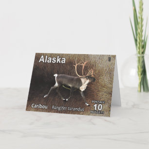 Cartão De Festividades Cariou (Reindeer) - Postage do Alasca